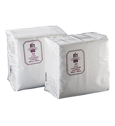 2Ply Lunch Napkin White Ctn 2000