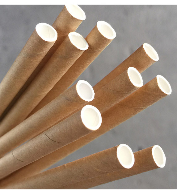 Regular Paper Straw - Kraft Pkt 250
