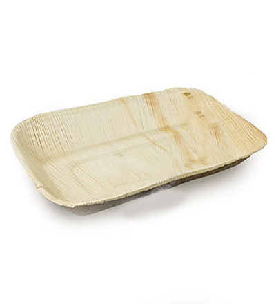 Bioplate 160x240 Rectangle Plate