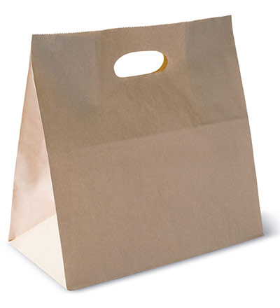 Checkout Bag with Die cut handle Ctn 500