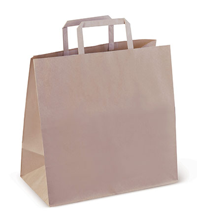 #5 Flat Paper Bag with Die cut handle Ctn 200