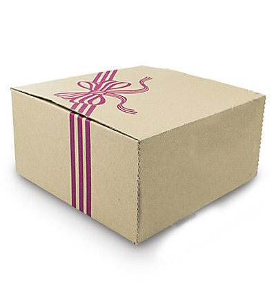 Cake Box Heavy Duty 229x229x115mm Pkt 25