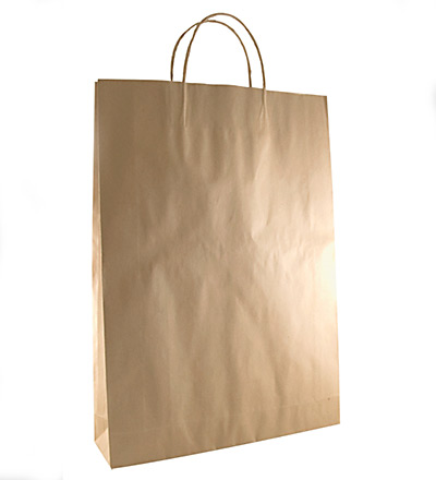 Medium Kraft Bag Brown 480x340
